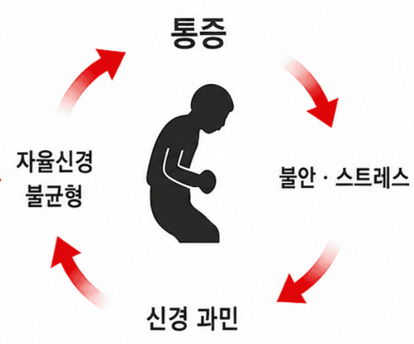 통증, 불안·스트레스, 신경 과민, 자율신경 불균형이 서로 영향을 주며 순환할 수 있음을 나타낸 참고 개념도